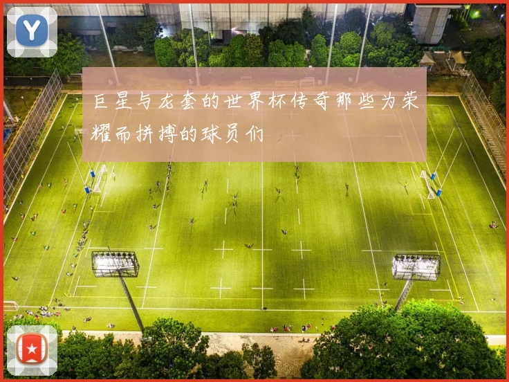 巨星与龙套的世界杯传奇那些为荣耀而拼搏的球员们