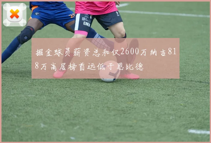 掘金球员薪资总和仅2600万纳吉818万高居榜首远低于恩比德
