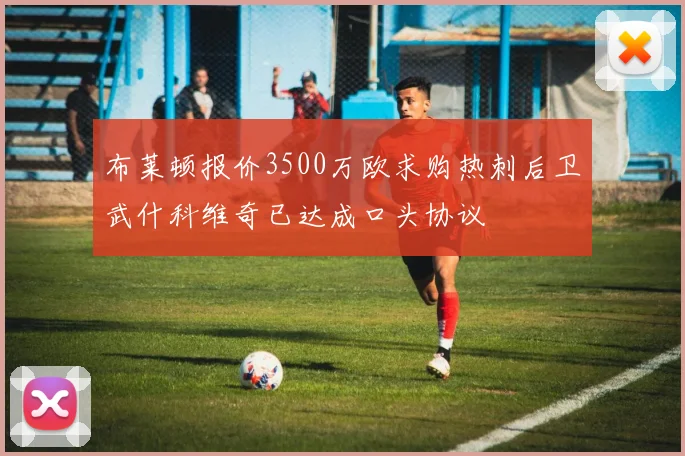 布莱顿报价3500万欧求购热刺后卫武什科维奇已达成口头协议