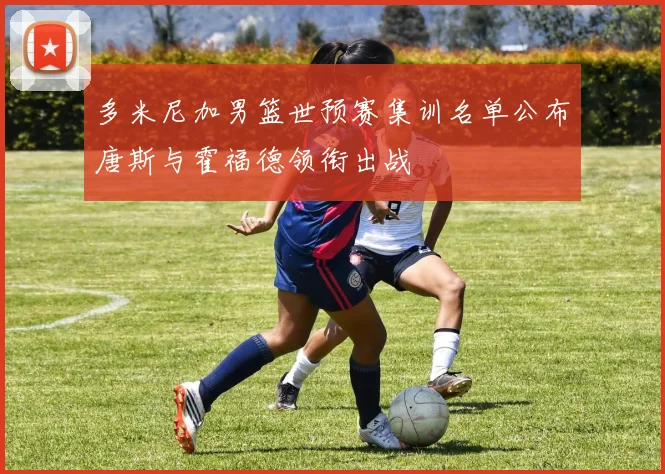 多米尼加男篮世预赛集训名单公布唐斯与霍福德领衔出战