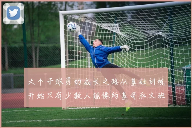 大个子球员的成长之路从基础训练开始只有少数人能像约基奇和文班那样成功
