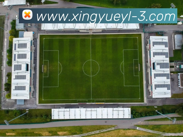 杏悦娱乐APP 体育赛事宣传图